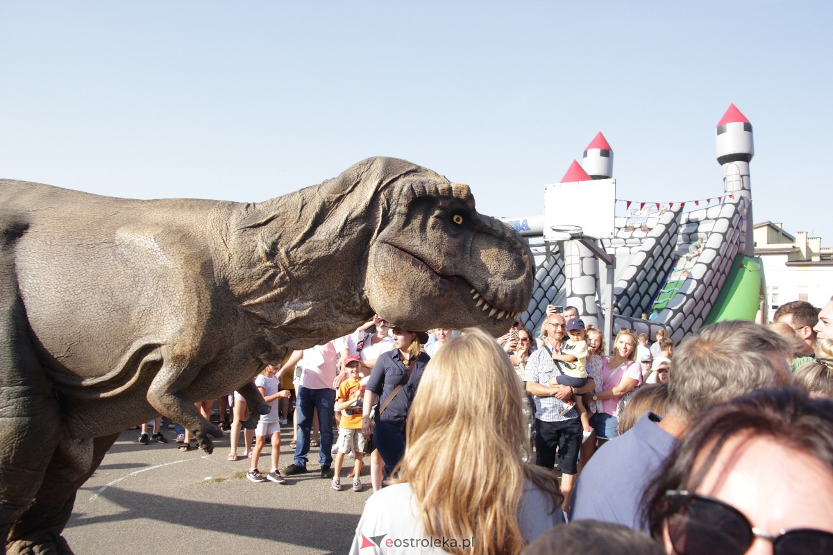 Festyn rodzinny na Osiedlu Centrum. Oko w oko z dinozaurem [10.09.2023] - zdjęcie #72 - eOstroleka.pl