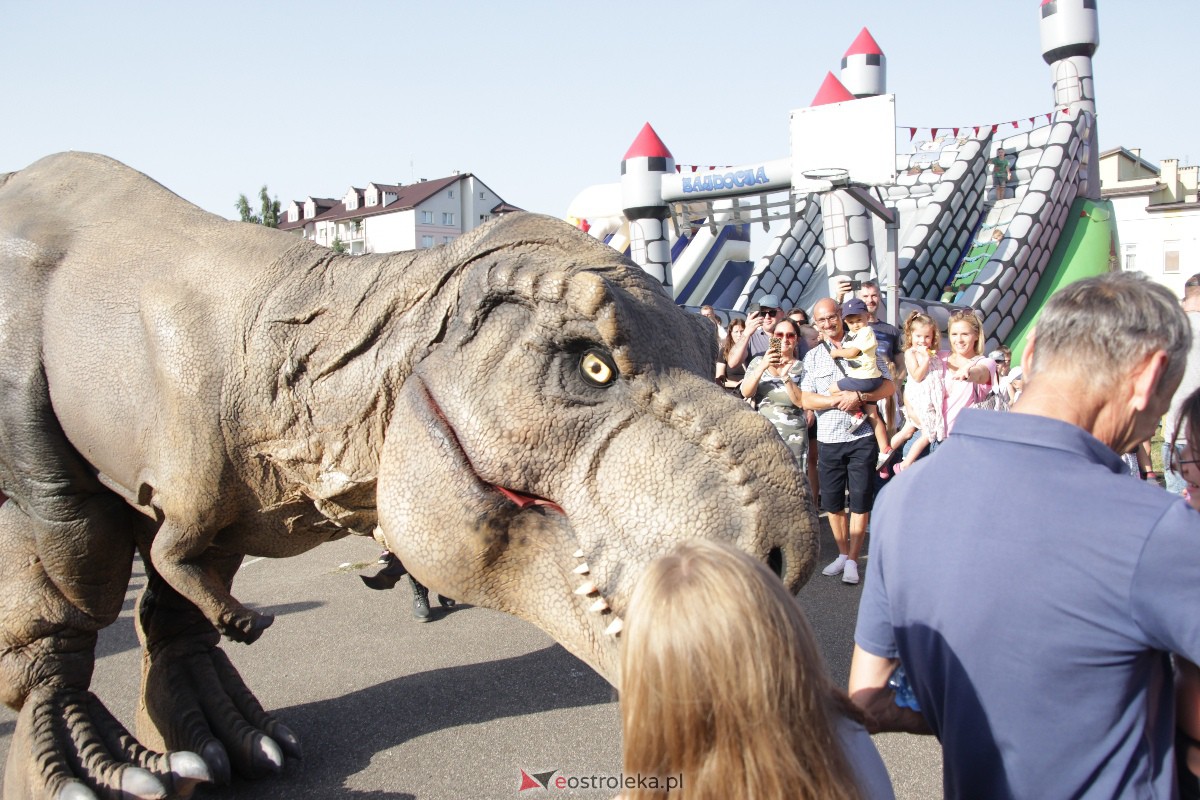 Festyn rodzinny na Osiedlu Centrum. Oko w oko z dinozaurem [10.09.2023] - zdjęcie #73 - eOstroleka.pl