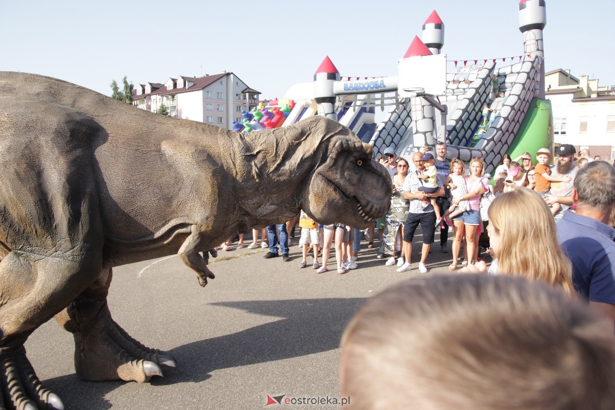 Festyn rodzinny na Osiedlu Centrum. Oko w oko z dinozaurem [10.09.2023] - zdjęcie #76 - eOstroleka.pl