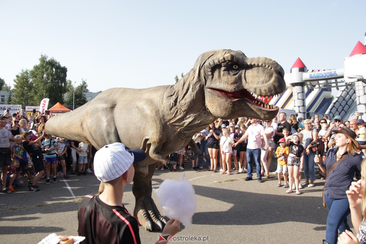 Festyn rodzinny na Osiedlu Centrum. Oko w oko z dinozaurem [10.09.2023] - zdjęcie #77 - eOstroleka.pl