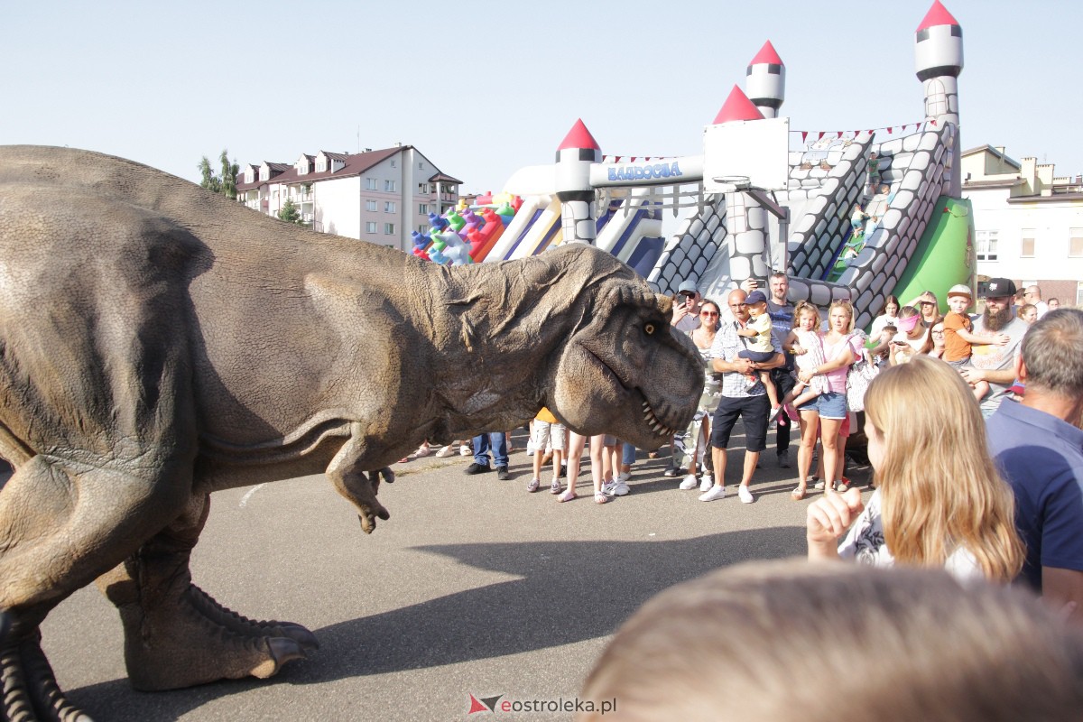 Festyn rodzinny na Osiedlu Centrum. Oko w oko z dinozaurem [10.09.2023] - zdjęcie #79 - eOstroleka.pl