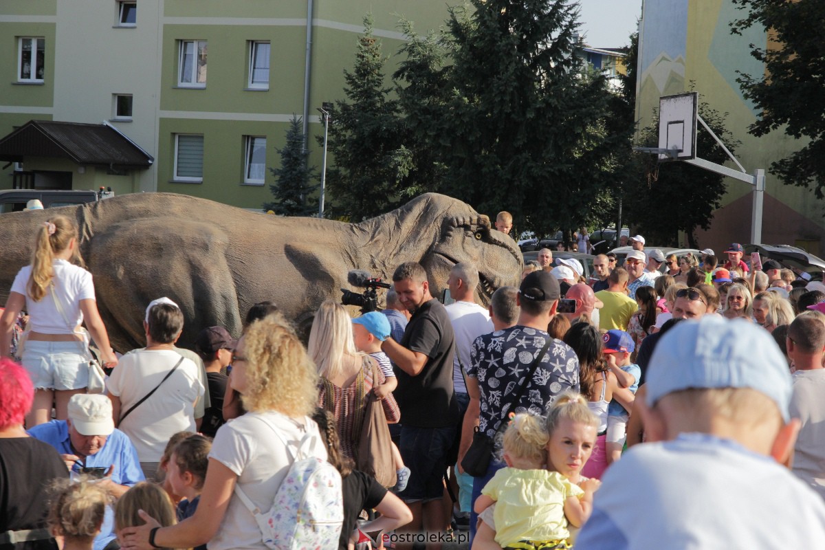 Festyn rodzinny na Osiedlu Centrum. Oko w oko z dinozaurem [10.09.2023] - zdjęcie #99 - eOstroleka.pl