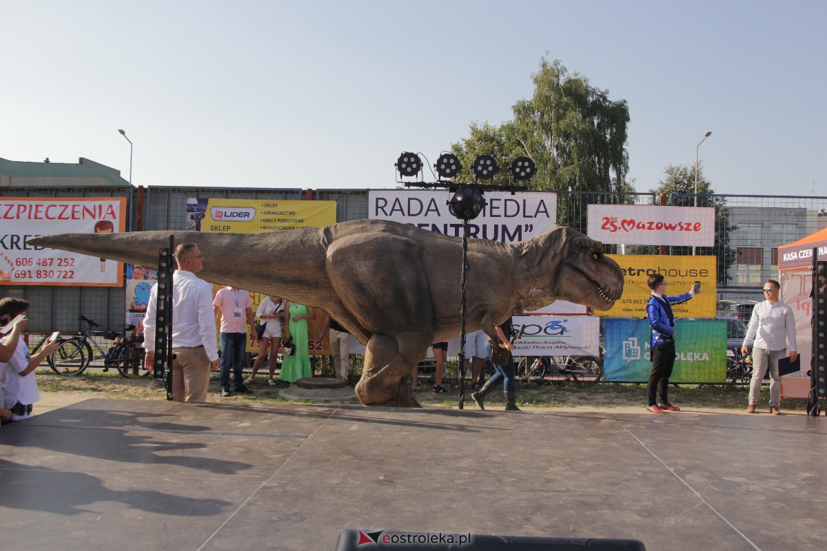 Festyn rodzinny na Osiedlu Centrum. Oko w oko z dinozaurem [10.09.2023] - zdjęcie #110 - eOstroleka.pl