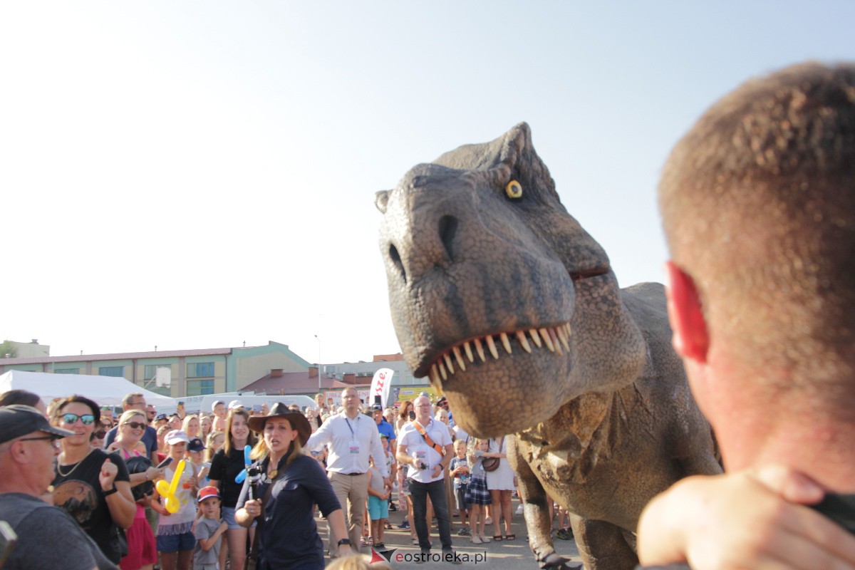 Festyn rodzinny na Osiedlu Centrum. Oko w oko z dinozaurem [10.09.2023] - zdjęcie #116 - eOstroleka.pl