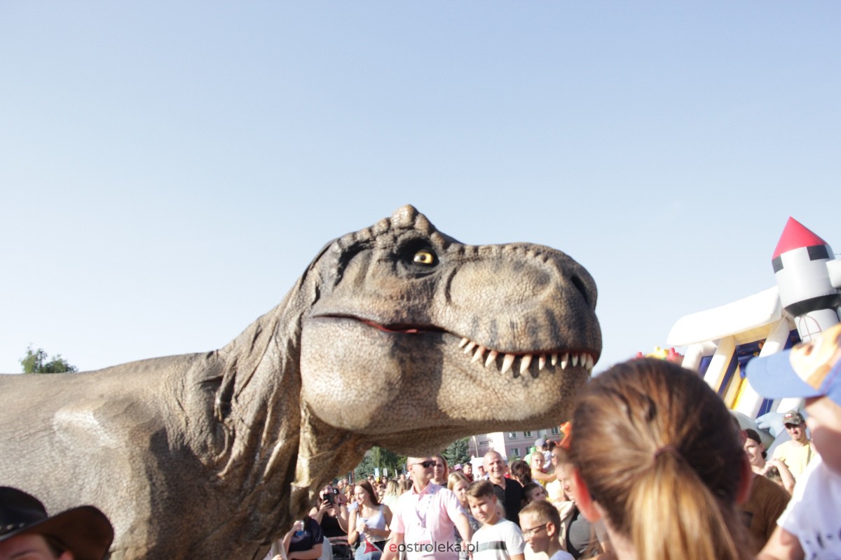 Festyn rodzinny na Osiedlu Centrum. Oko w oko z dinozaurem [10.09.2023] - zdjęcie #117 - eOstroleka.pl