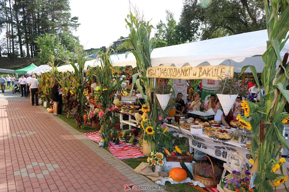 Dożynki w Baranowie [10.09.2023] - zdjęcie #115 - eOstroleka.pl