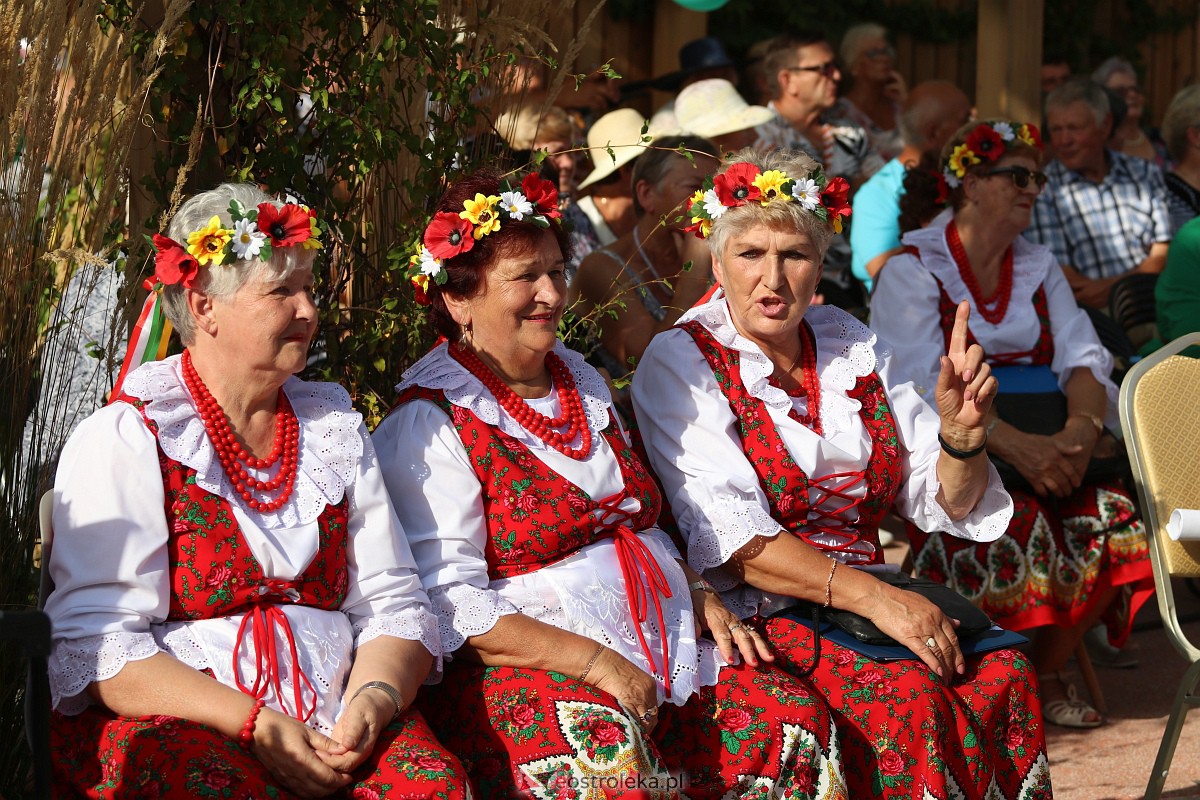 Senioralia w Rzekuniu [10.09.2023] - zdjęcie #83 - eOstroleka.pl