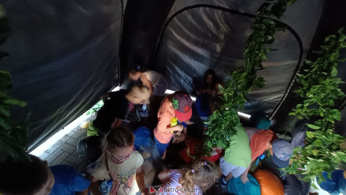 Piknik ekologiczny w “jedynce”. Dzieci uczyły się o ochronie środowiska [13.09.2023] - zdjęcie #33 - eOstroleka.pl