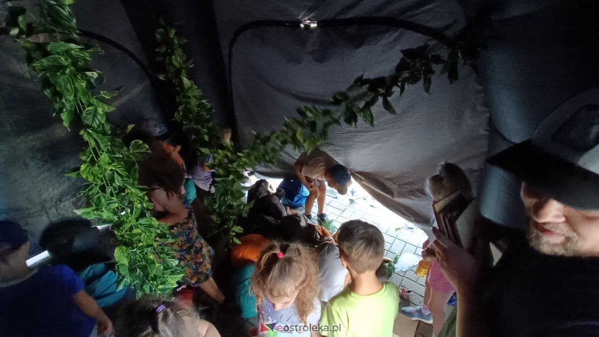 Piknik ekologiczny w “jedynce”. Dzieci uczyły się o ochronie środowiska [13.09.2023] - zdjęcie #32 - eOstroleka.pl