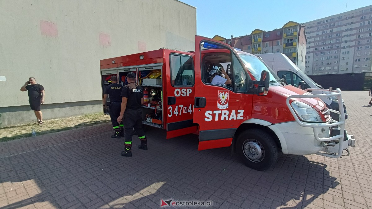 Piknik ekologiczny w “jedynce”. Dzieci uczyły się o ochronie środowiska [13.09.2023] - zdjęcie #20 - eOstroleka.pl