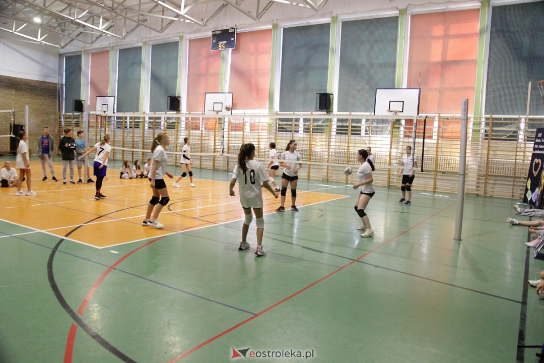 XVIII Szkolny Turniej Piłki Siatkowej im. Arkadiusza Gołasia [15.09.2023] - zdjęcie #38 - eOstroleka.pl