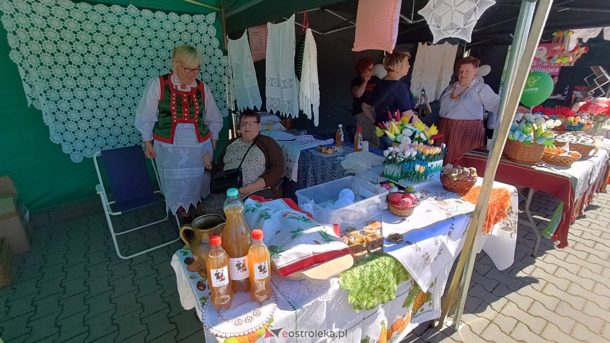 Kurpiowskie Targi Rolnicze w Ostrołęce [16.09.2023] - zdjęcie #100 - eOstroleka.pl