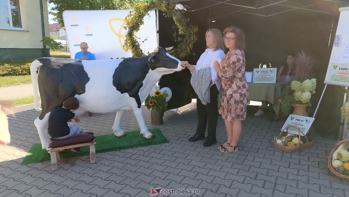 Kurpiowskie Targi Rolnicze w Ostrołęce [16.09.2023] - zdjęcie #86 - eOstroleka.pl