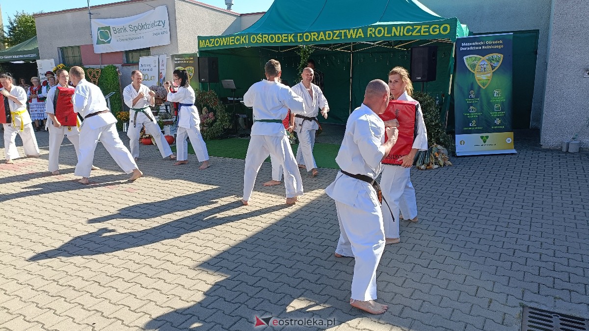 Kurpiowskie Targi Rolnicze w Ostrołęce [16.09.2023] - zdjęcie #38 - eOstroleka.pl