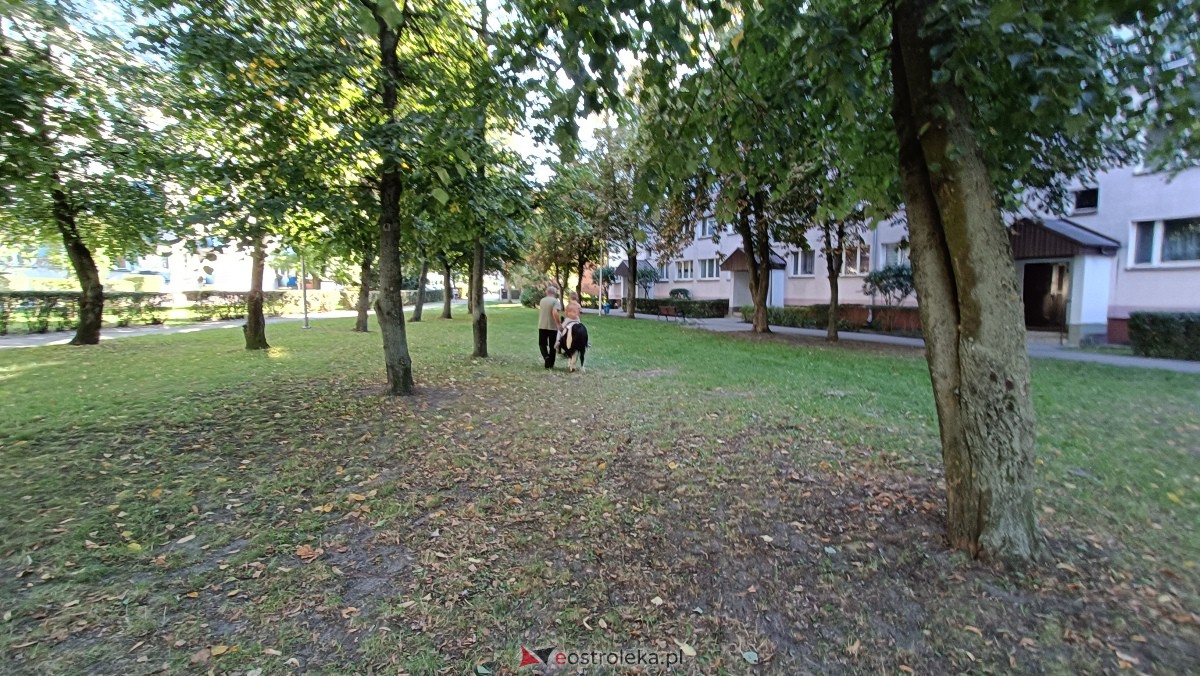 Ognisko z Radą Osiedla Starosty Kosa [16.09.2023] - zdjęcie #29 - eOstroleka.pl