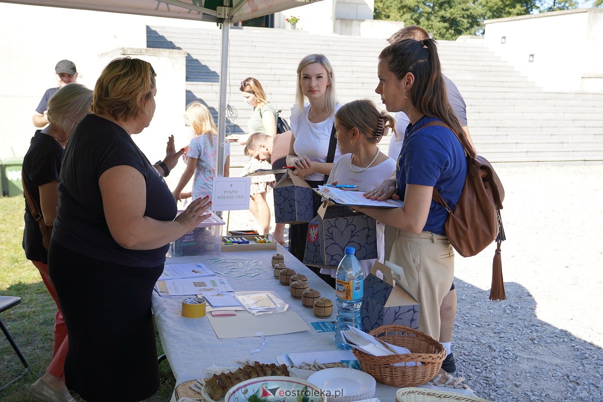 Rodzinny piknik edukacyjny „Z małą walizką w dawny świat. 6 x Ostrołęka” [17.09.2023] - zdjęcie #34 - eOstroleka.pl