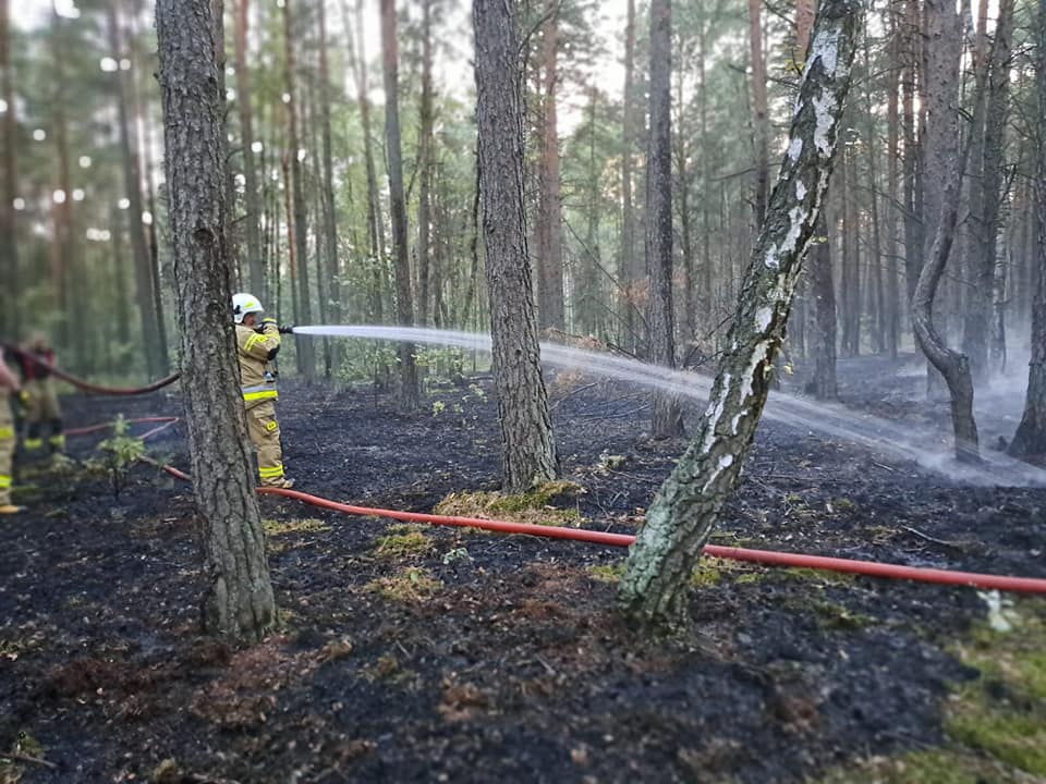 Pożar lasu w Kurpiach Szlacheckich [18.09.2023] - zdjęcie #2 - eOstroleka.pl