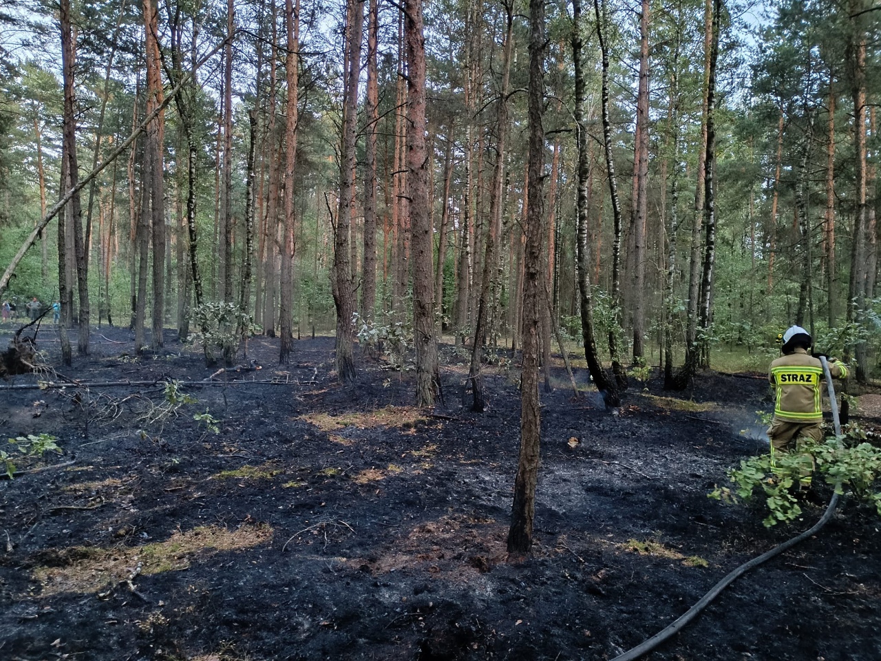 Pożar lasu w Kurpiach Szlacheckich [18.09.2023] - zdjęcie #5 - eOstroleka.pl