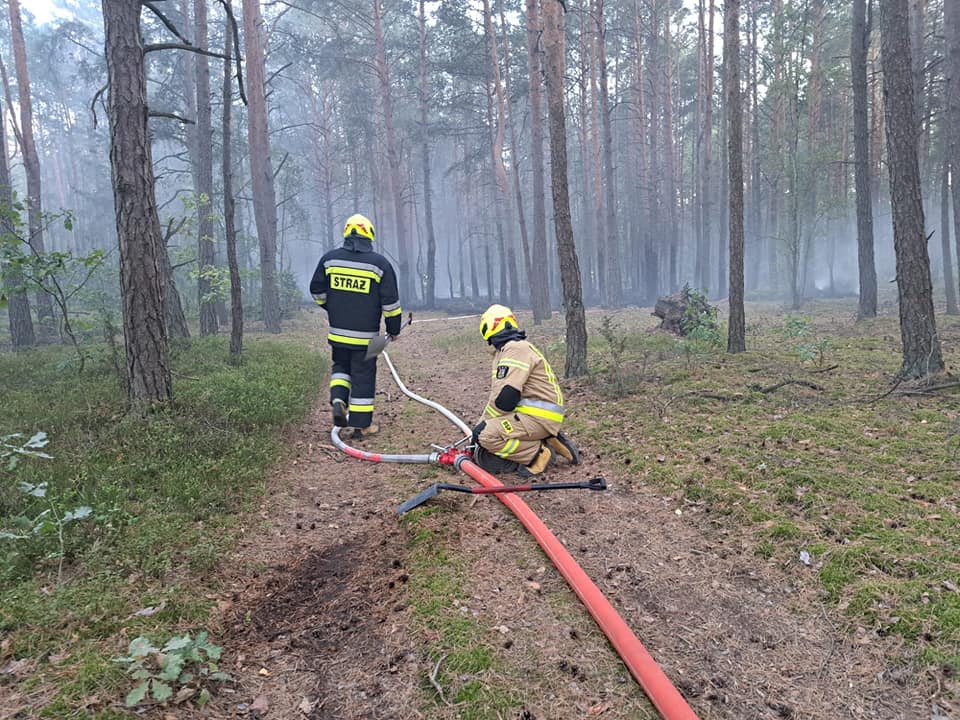 Pożar lasu w Kurpiach Szlacheckich [18.09.2023] - zdjęcie #6 - eOstroleka.pl