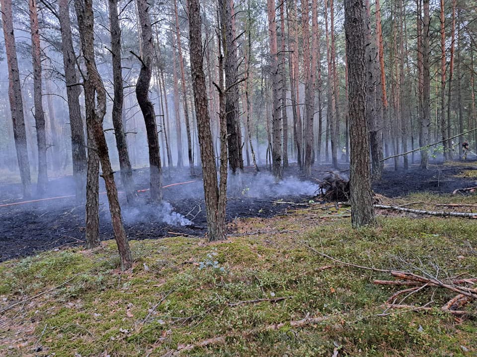 Pożar lasu w Kurpiach Szlacheckich [18.09.2023] - zdjęcie #7 - eOstroleka.pl