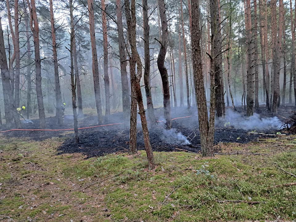 Pożar lasu w Kurpiach Szlacheckich [18.09.2023] - zdjęcie #8 - eOstroleka.pl