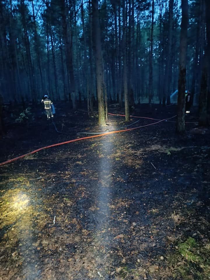Pożar lasu w Kurpiach Szlacheckich [18.09.2023] - zdjęcie #9 - eOstroleka.pl