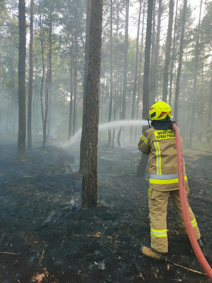 Pożar lasu w Kurpiach Szlacheckich [18.09.2023] - zdjęcie #10 - eOstroleka.pl