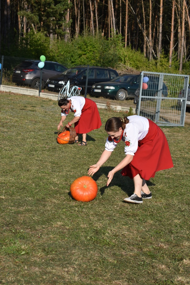 Piknik rodzinny z jubileuszem KGW w Drężku - zdjęcie #49 - eOstroleka.pl