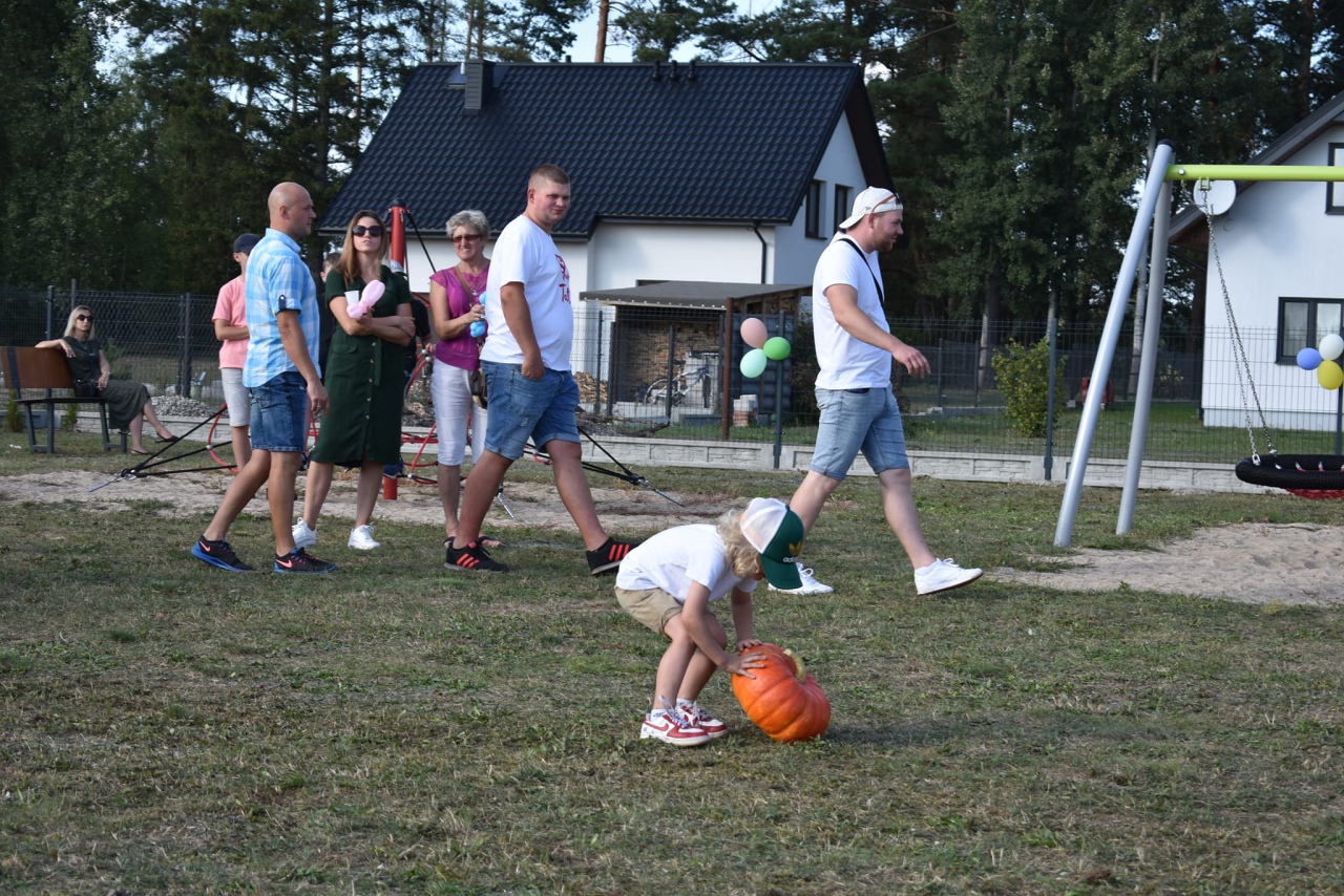 Piknik rodzinny z jubileuszem KGW w Drężku - zdjęcie #46 - eOstroleka.pl