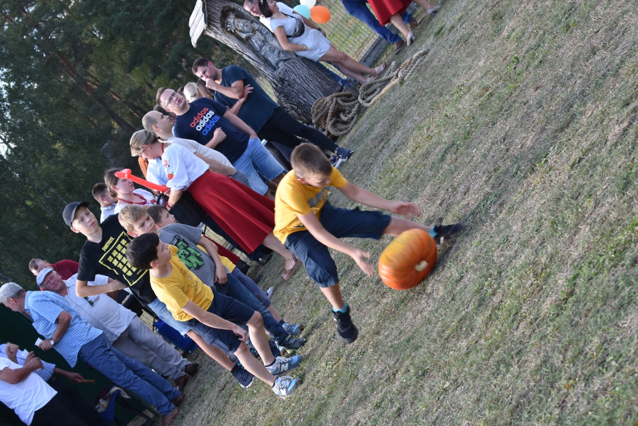 Piknik rodzinny z jubileuszem KGW w Drężku - zdjęcie #3 - eOstroleka.pl