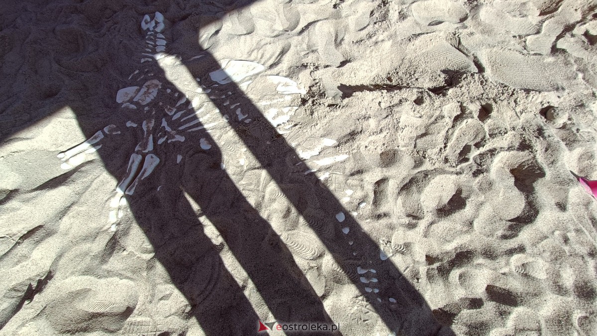 Odbiór placu zabaw na osiedlu Centrum [25.09.2023] - zdjęcie #41 - eOstroleka.pl