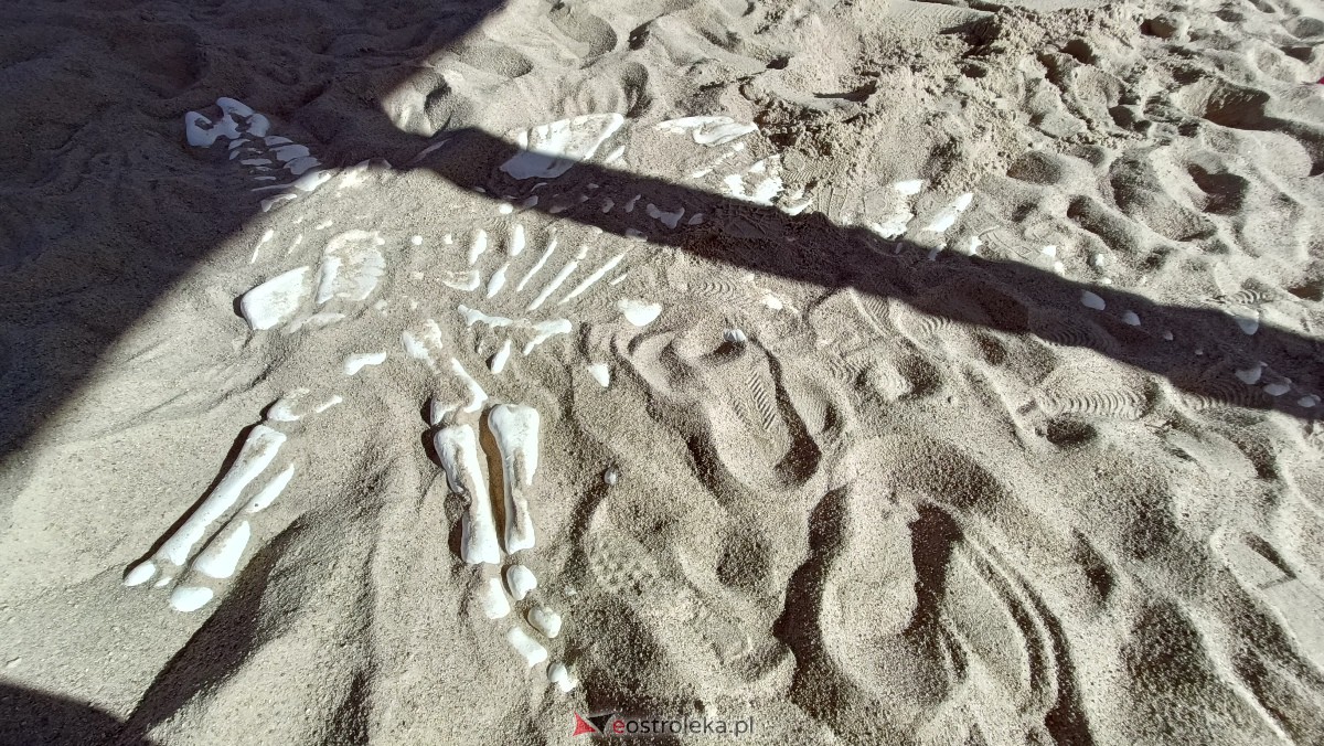 Odbiór placu zabaw na osiedlu Centrum [25.09.2023] - zdjęcie #40 - eOstroleka.pl