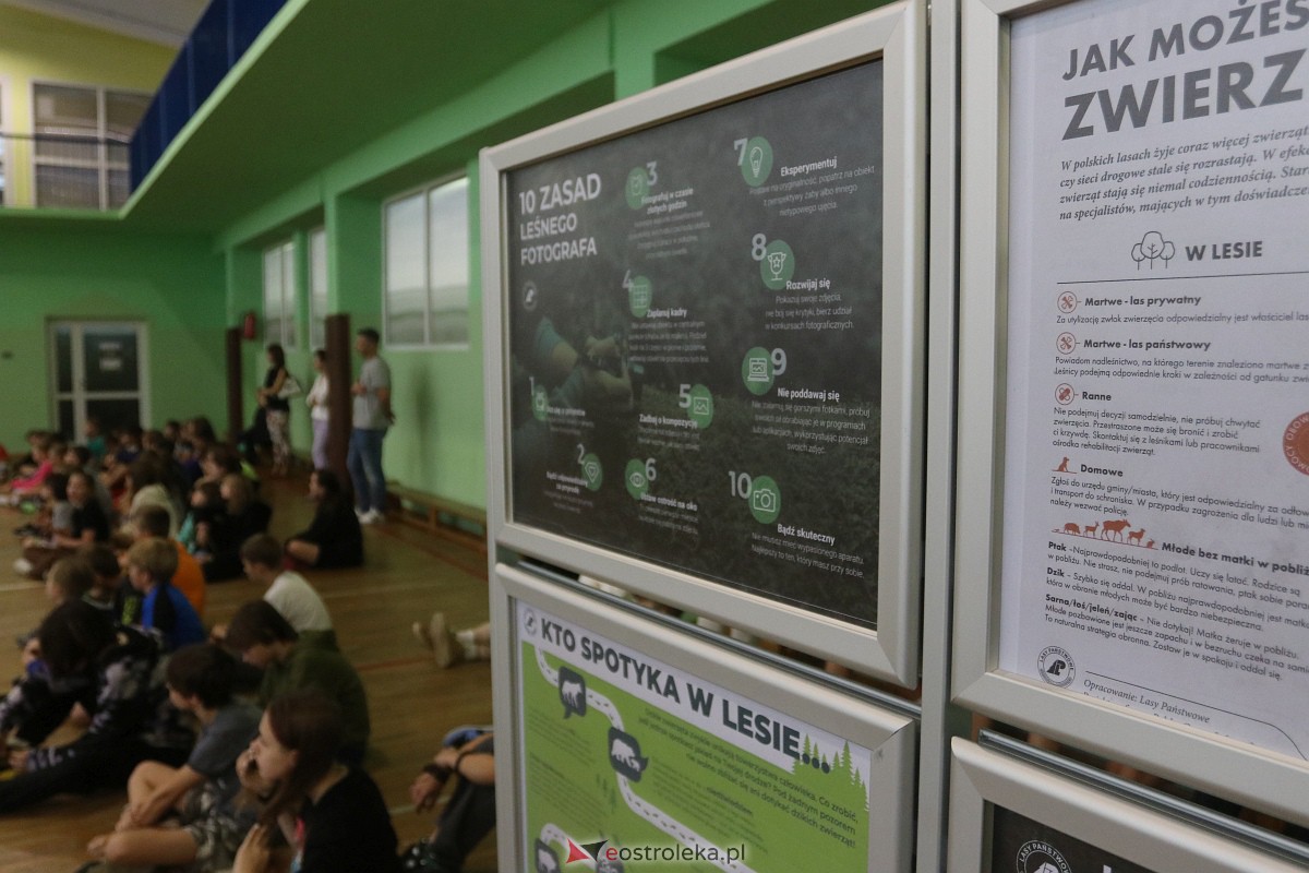 Wystawa grzybów w Szkole Podstawowej nr 2 [26.09.2023] - zdjęcie #22 - eOstroleka.pl