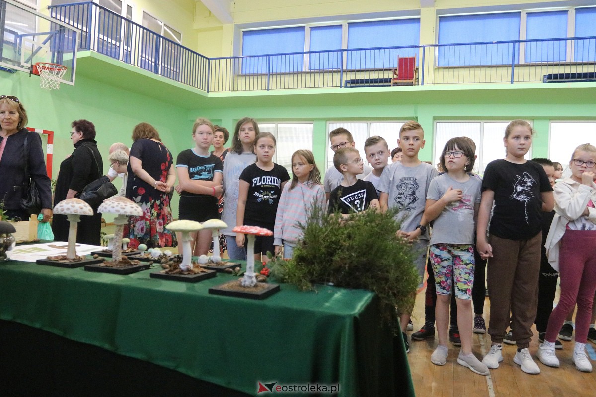 Wystawa grzybów w Szkole Podstawowej nr 2 [26.09.2023] - zdjęcie #10 - eOstroleka.pl