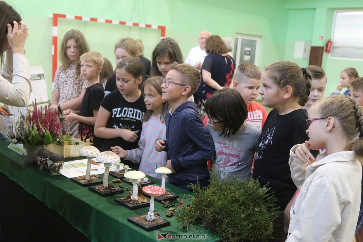 Wystawa grzybów w Szkole Podstawowej nr 2 [26.09.2023] - zdjęcie #4 - eOstroleka.pl