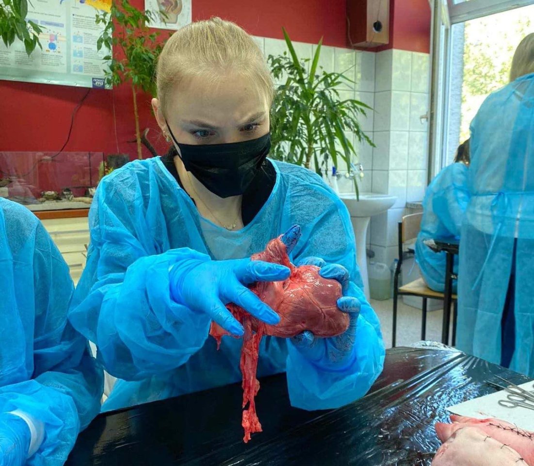 Uczniowie III LO w Ostrołęce jak prawdziwi chirurdzy [03.10.2023] - zdjęcie #1 - eOstroleka.pl