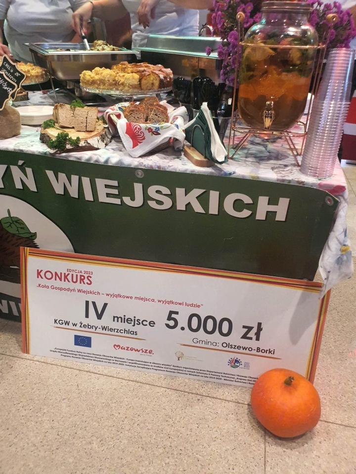 Konkurs KGW - Wyjątkowe miejsca, wyjątkowi ludzie. Wyróżnienie dla KGW Żebry-Wierzchlas [ZDJĘCIA] - zdjęcie #3 - eOstroleka.pl