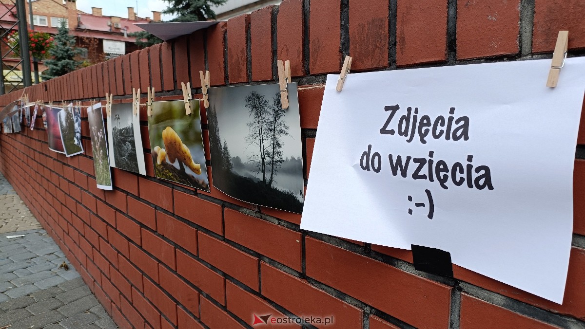 Akcja Zdjęcia do wzięcia na Placu Wolności w Ostrołęce [07.10.2023] - zdjęcie #27 - eOstroleka.pl