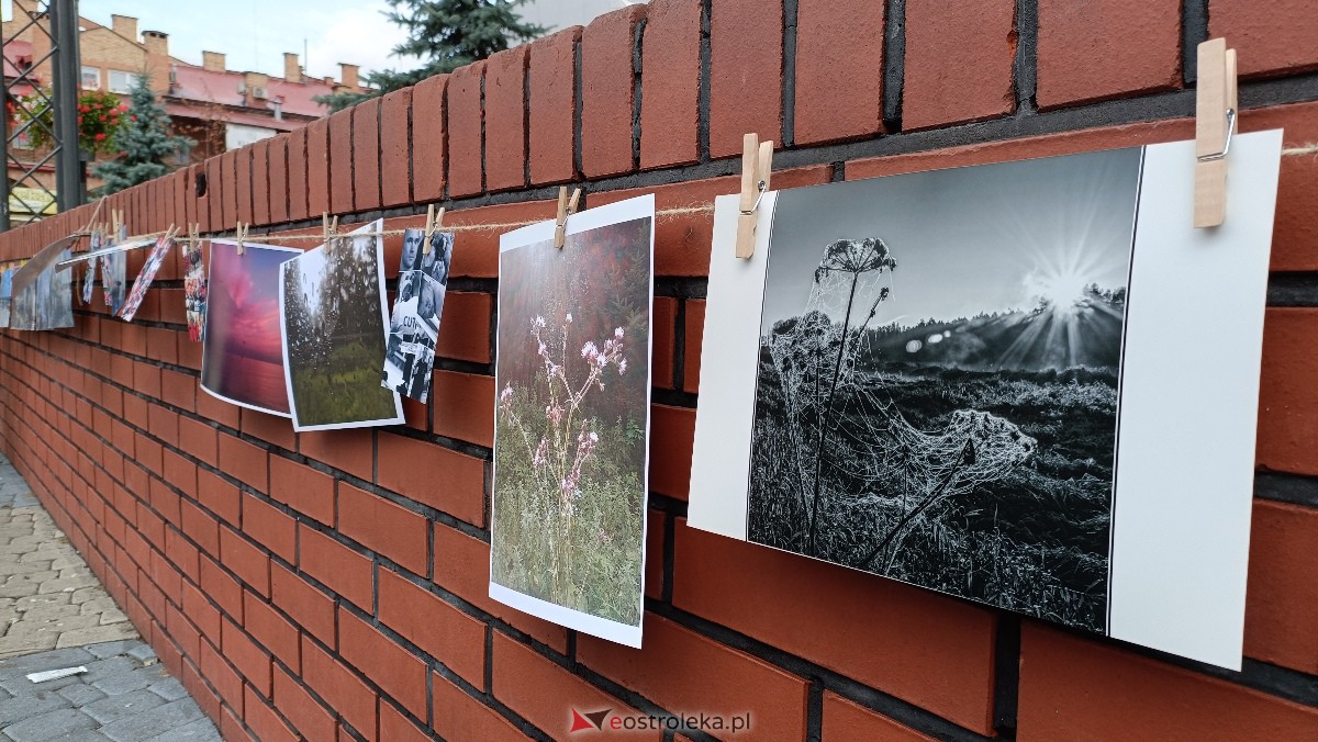 Akcja Zdjęcia do wzięcia na Placu Wolności w Ostrołęce [07.10.2023] - zdjęcie #26 - eOstroleka.pl