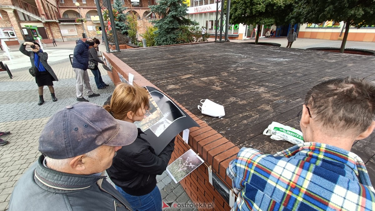 Akcja Zdjęcia do wzięcia na Placu Wolności w Ostrołęce [07.10.2023] - zdjęcie #25 - eOstroleka.pl