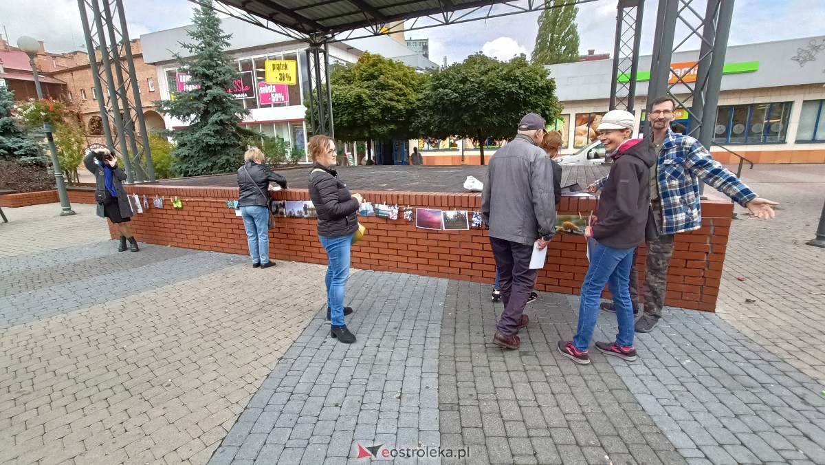 Akcja Zdjęcia do wzięcia na Placu Wolności w Ostrołęce [07.10.2023] - zdjęcie #24 - eOstroleka.pl