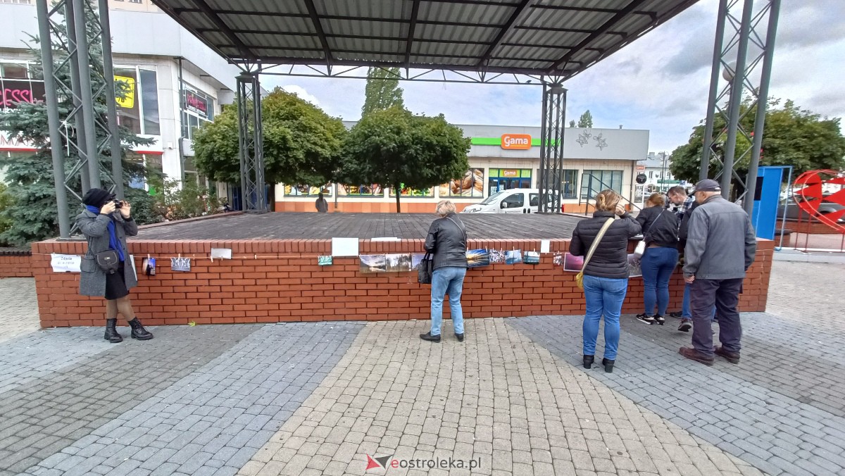 Akcja Zdjęcia do wzięcia na Placu Wolności w Ostrołęce [07.10.2023] - zdjęcie #23 - eOstroleka.pl