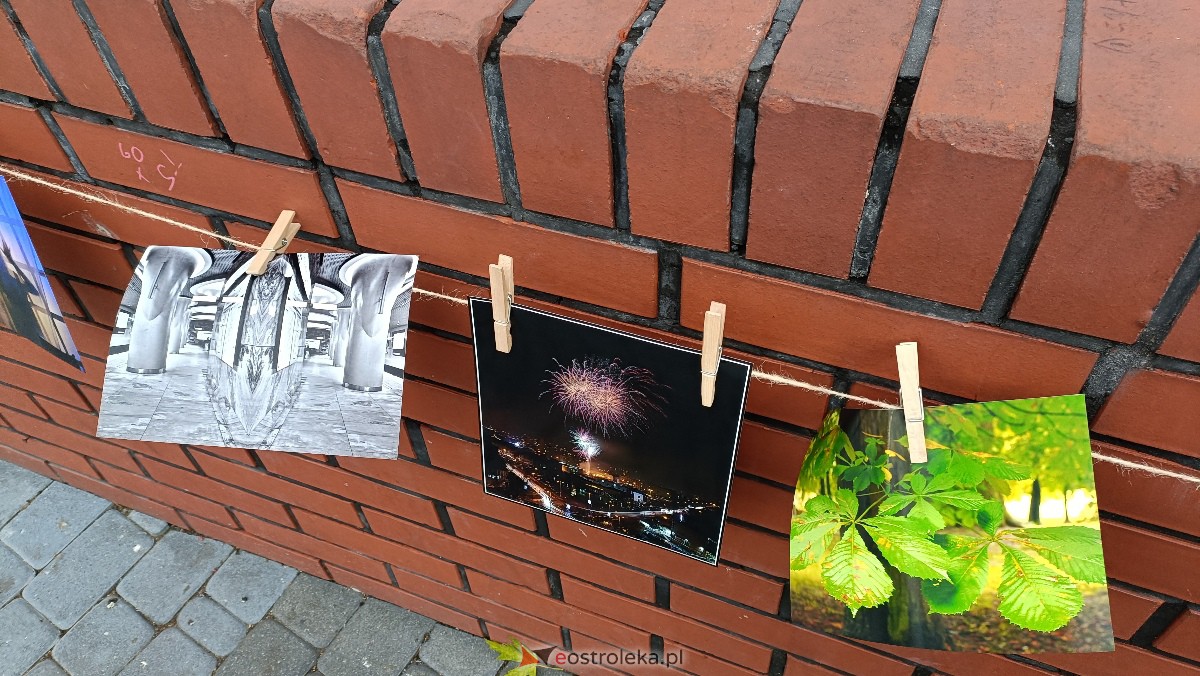 Akcja Zdjęcia do wzięcia na Placu Wolności w Ostrołęce [07.10.2023] - zdjęcie #22 - eOstroleka.pl