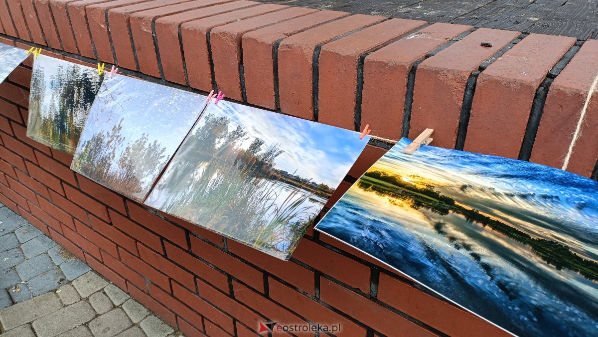 Akcja Zdjęcia do wzięcia na Placu Wolności w Ostrołęce [07.10.2023] - zdjęcie #21 - eOstroleka.pl