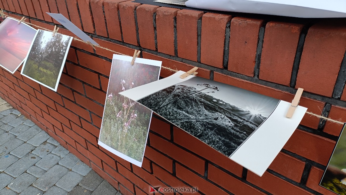 Akcja Zdjęcia do wzięcia na Placu Wolności w Ostrołęce [07.10.2023] - zdjęcie #18 - eOstroleka.pl