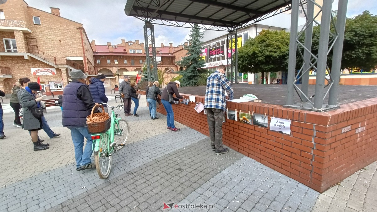 Akcja Zdjęcia do wzięcia na Placu Wolności w Ostrołęce [07.10.2023] - zdjęcie #17 - eOstroleka.pl