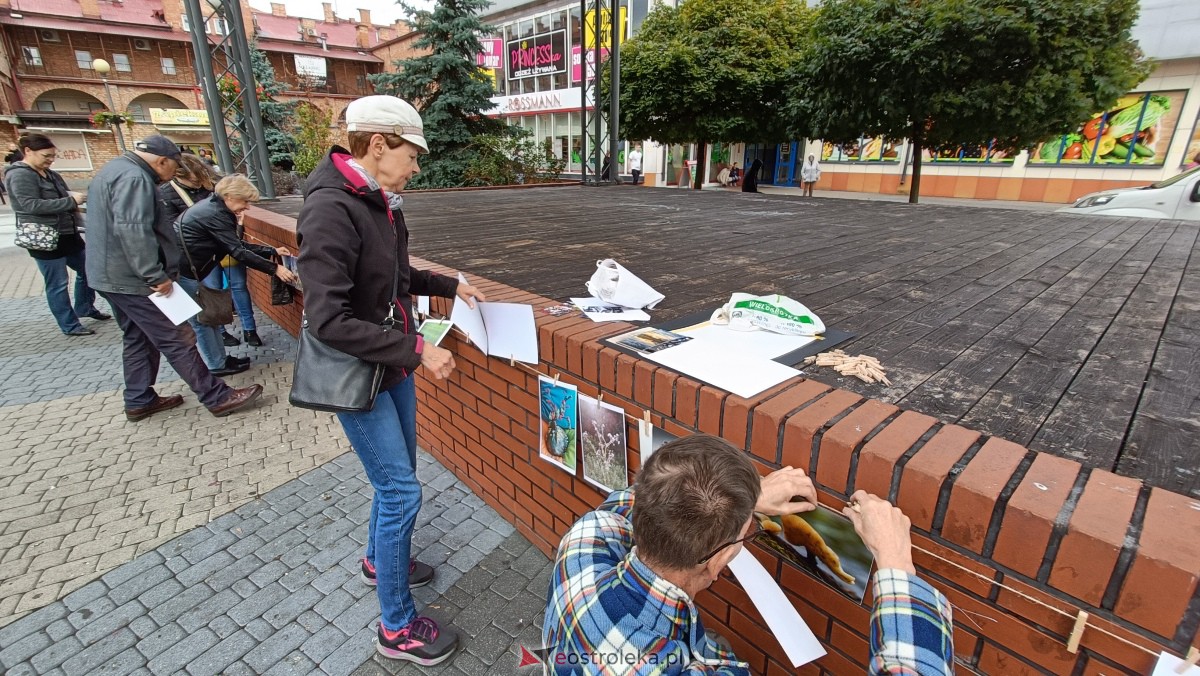 Akcja Zdjęcia do wzięcia na Placu Wolności w Ostrołęce [07.10.2023] - zdjęcie #16 - eOstroleka.pl