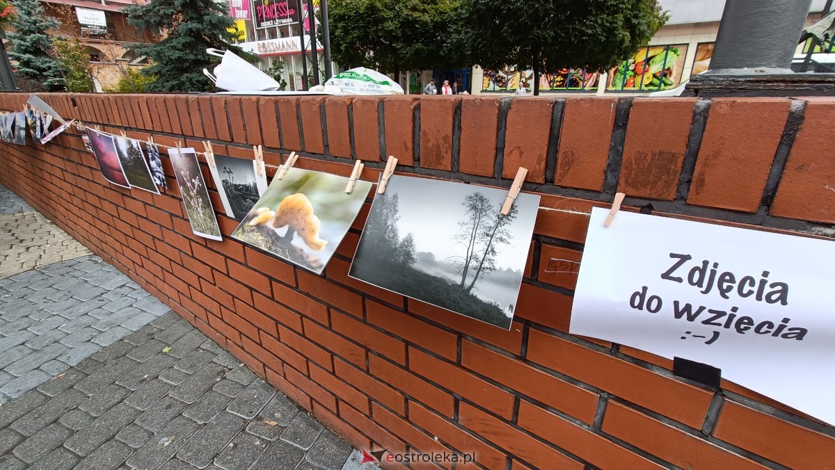 Akcja Zdjęcia do wzięcia na Placu Wolności w Ostrołęce [07.10.2023] - zdjęcie #15 - eOstroleka.pl