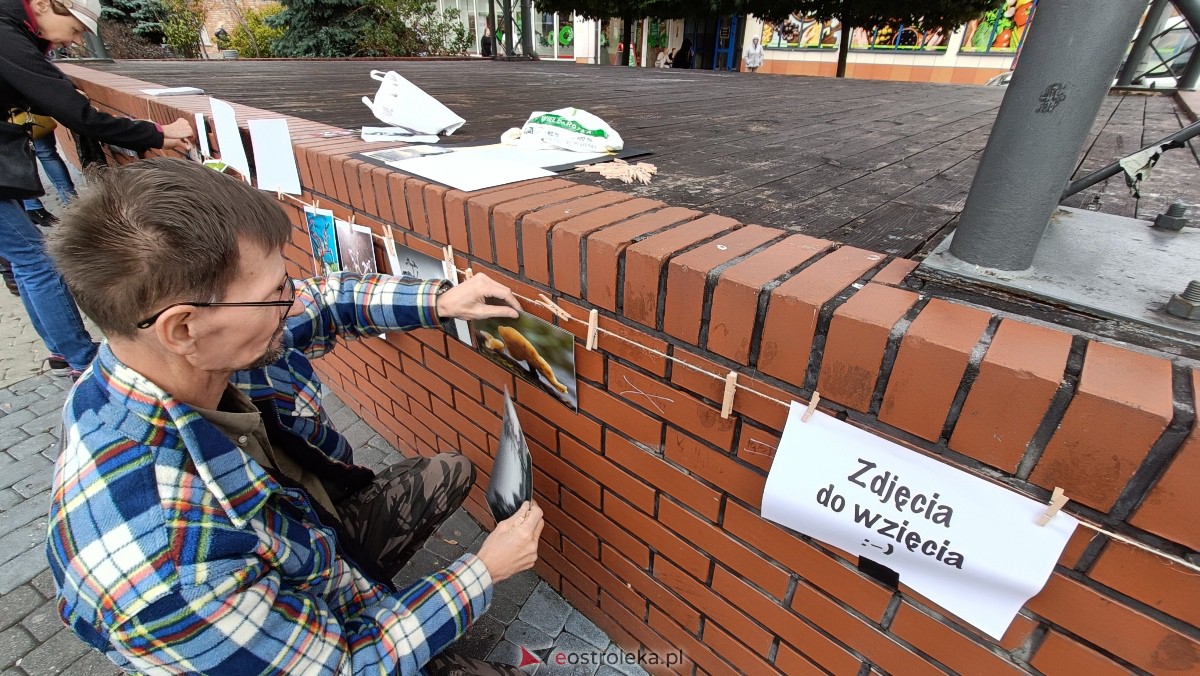 Akcja Zdjęcia do wzięcia na Placu Wolności w Ostrołęce [07.10.2023] - zdjęcie #14 - eOstroleka.pl