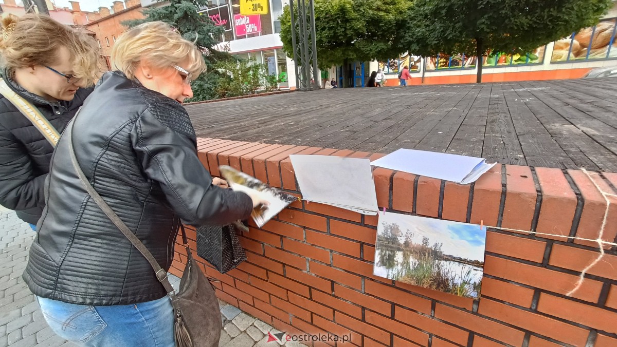 Akcja Zdjęcia do wzięcia na Placu Wolności w Ostrołęce [07.10.2023] - zdjęcie #13 - eOstroleka.pl